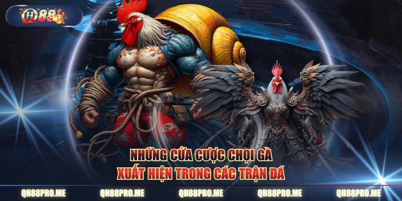 Những cửa cược chọi gà xuất hiện trong các trận đá