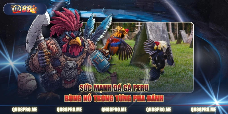 Sức mạnh đá gà Peru bùng nổ trong từng pha đánh