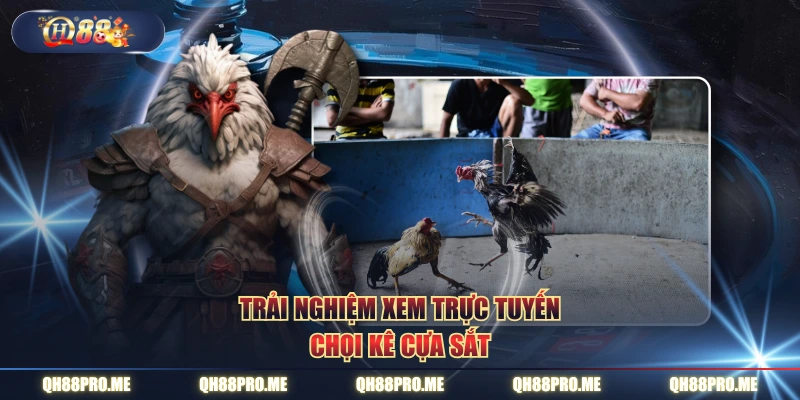 Trải nghiệm xem trực tuyến chọi kê cựa sắt